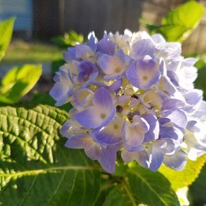 Meet your Posher, Jan